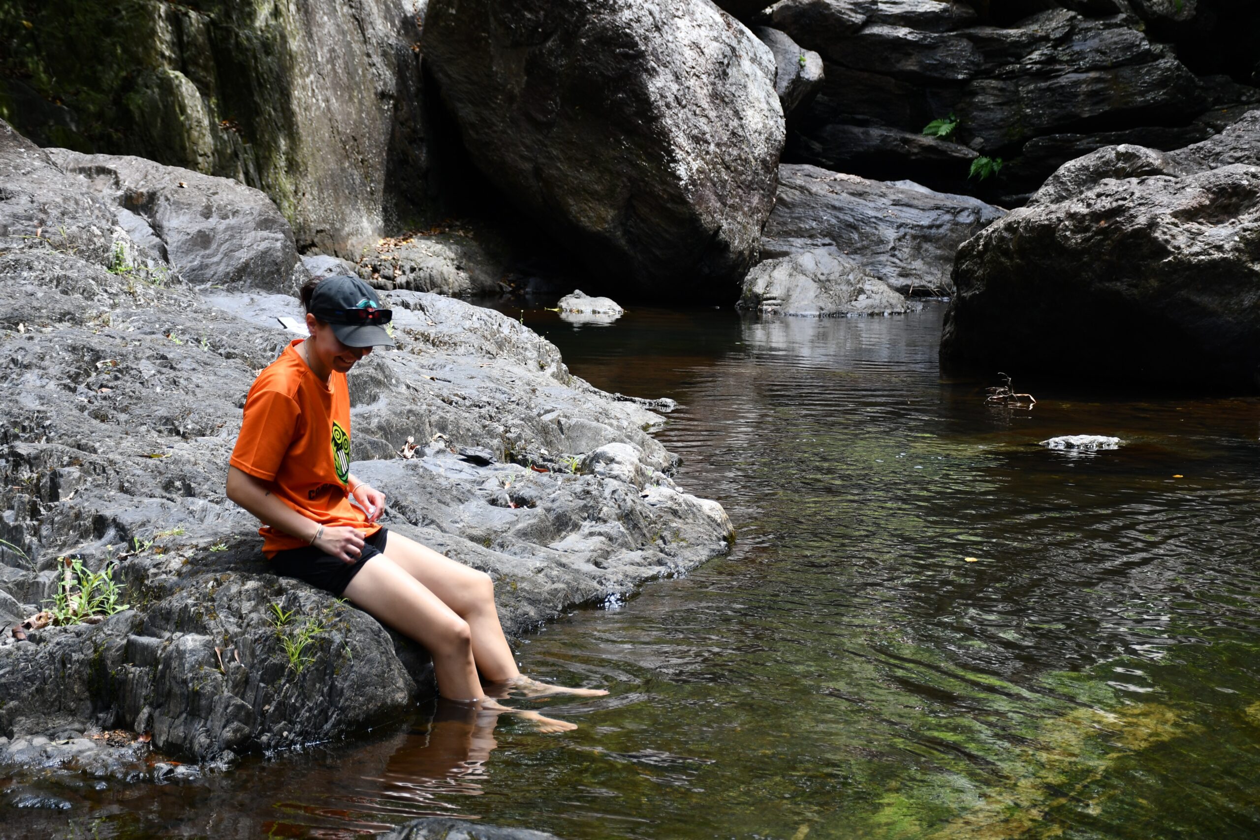 Explorer Tour in Cairns in the forest and around waterfalls